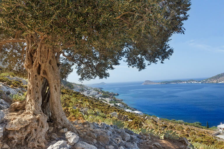 Kalymnos Pauschalreisen